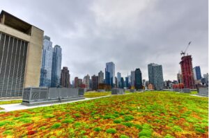 Climate Risks and Opportunities Across the Great Lakes: A Path For Green Stormwater Infrastructure