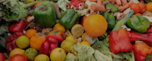 Food Waste Management at Meijer