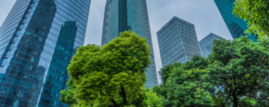 Great Lakes Region is Resource Rich, so why Aren’t Cities Greener?