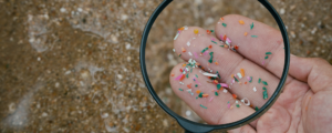 Breaking Down the Problem of Microplastics in the Great Lakes