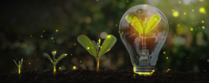 Powering a Net-Zero Future for Ontario