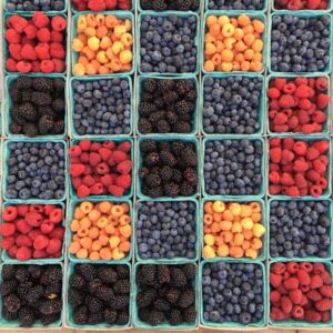 Wanted: Healthy Food Sustainably Sourced <br>for a Hungry World