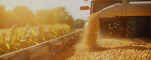 Canadian Agri-Food Resilience