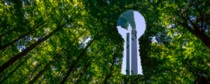 Greenwashing 3.0