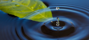 Founding Corporate Partners of CGLR’s Great Lakes Water Innovation and Stewardship Exchange Announced