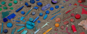 Great Lakes Plastic Cleanup (GLPC) Shares New Data and Insights for Plastic Free July