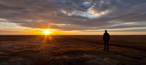 Global Foresight on Planetary Health and Human Wellbeing