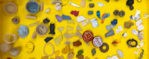 Data and Findings from the Great Lakes Plastic Cleanup’s 2024 Season Point to it Being the Most Impactful Yet